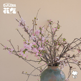 花气 | 桃花樱花海棠花【早春的树】鲜切山野感枝条玄关橱窗装饰
