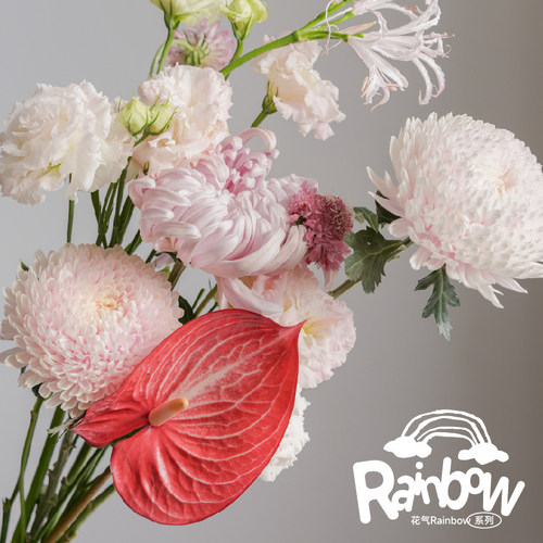 Rainbow系列花束搭配-粉玉 橱窗装饰 家居鲜花设计感花束顺丰空运