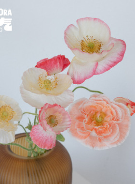 花气｜虞美人鲜切花办公室家庭水养室内鲜花昆明基地直发