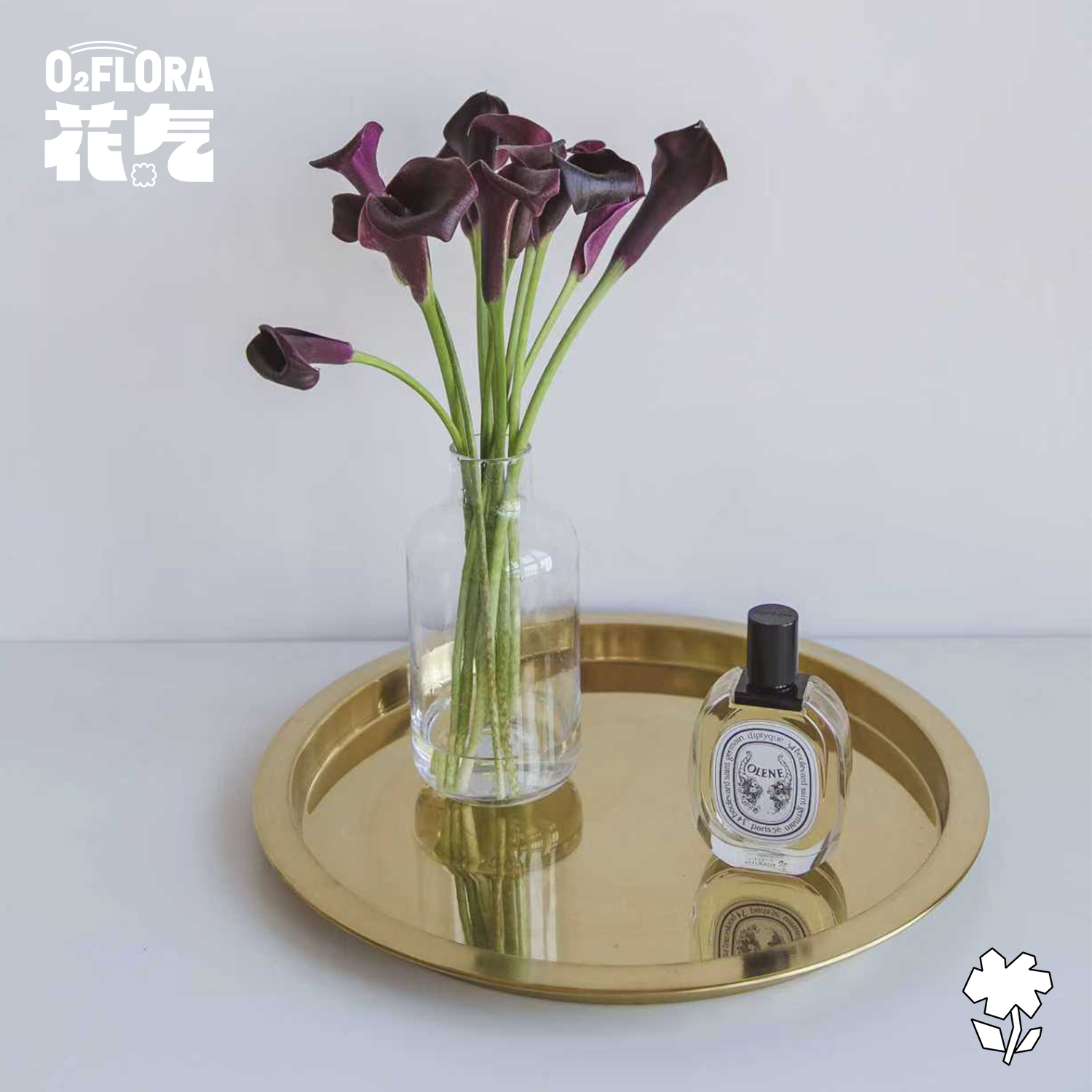 花气 | 马蹄莲室内高档优雅花材鲜花母亲节送妈妈年宵插花顺丰