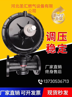 天然气减压阀二级调压阀RTZ-FQ DN50法兰连接调压器