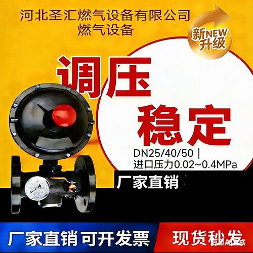 燃气用RTZ/F减压阀DN25/40/50天然气调压器燃气调压器减压阀