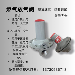 燃气放散阀RAF燃气安全放阀天然气超压泄压阀泄气阀安全阀放散阀
