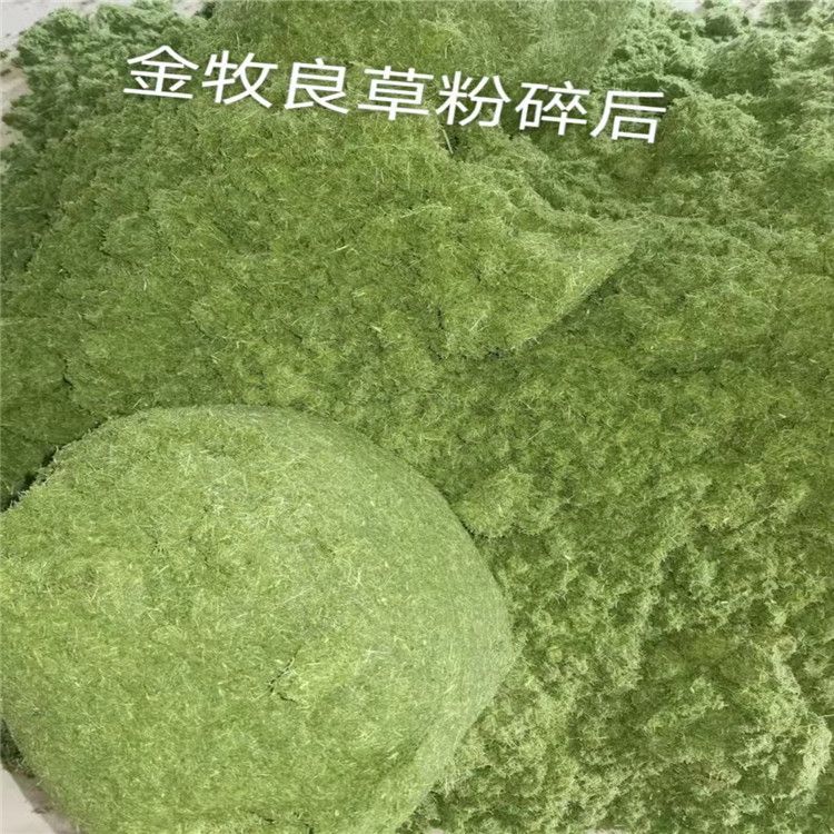 河南半湿物料粉碎机|有机肥粉碎机|高湿物料粉碎机中药渣粉碎机