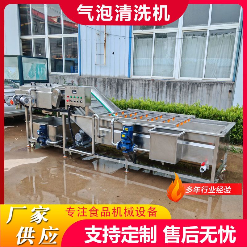 商用果蔬清洗风干设备鲜辣椒清洗风干线折耳根气泡清洗风干设备