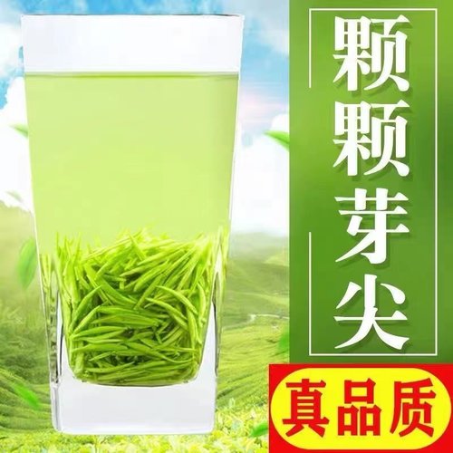 绿茶信阳毛尖特级嫩芽