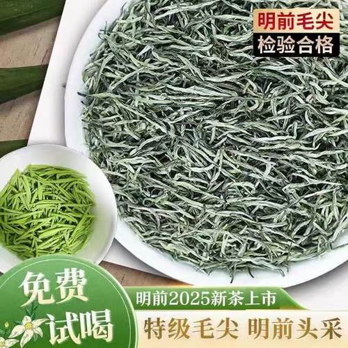信阳毛尖茶叶2025新茶叶
