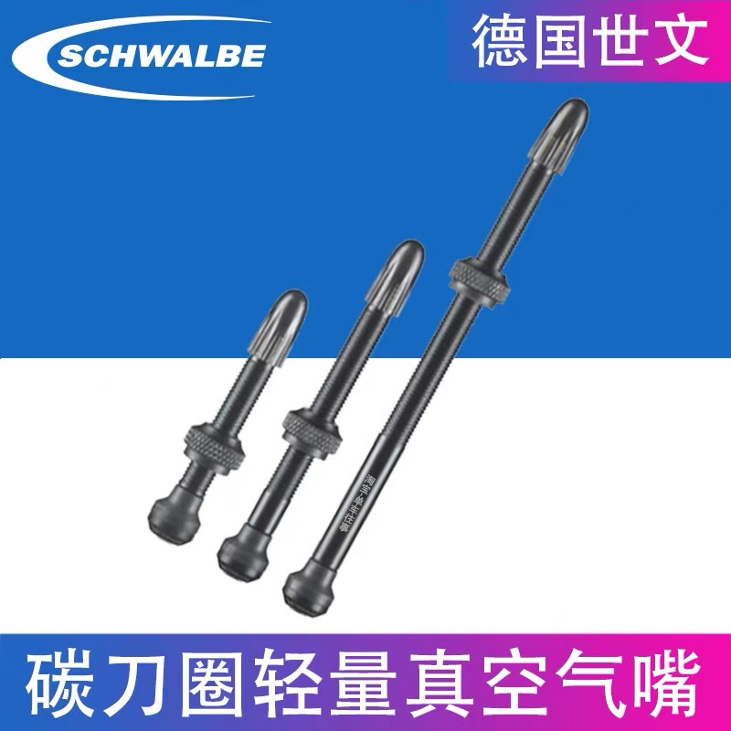 世文Schwalbe真空胎气嘴自补液