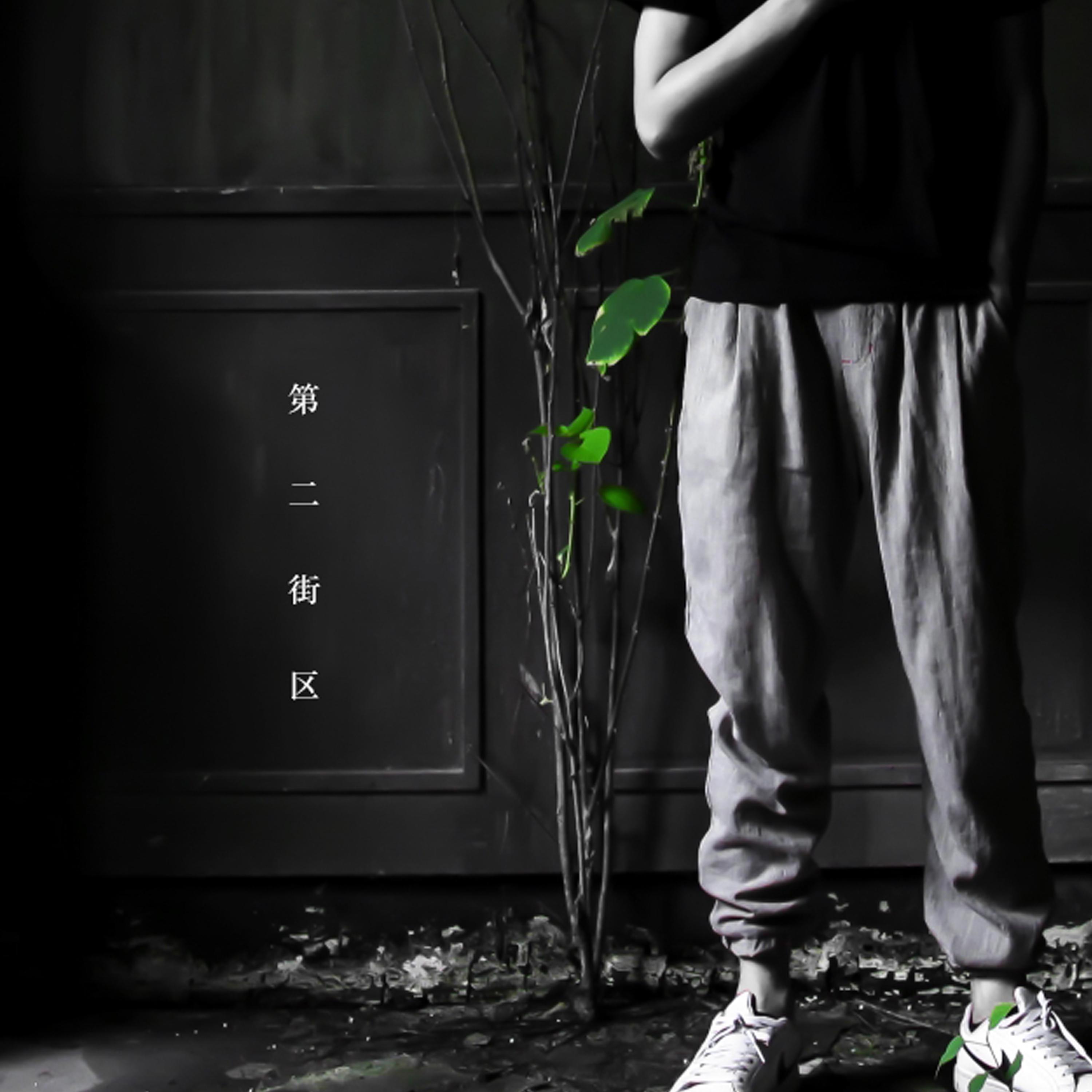 悬溺 葛东琪 扒谱服务 萨克斯谱 单簧管 长笛  小号 小提琴 伴奏