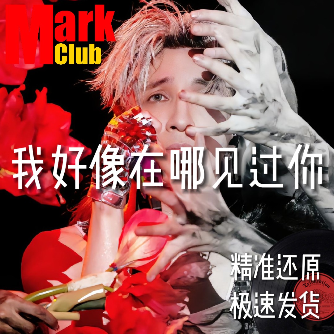 我好像在哪见过你 扒谱 萨克斯谱 单簧管 长笛 小号 小提琴 伴奏