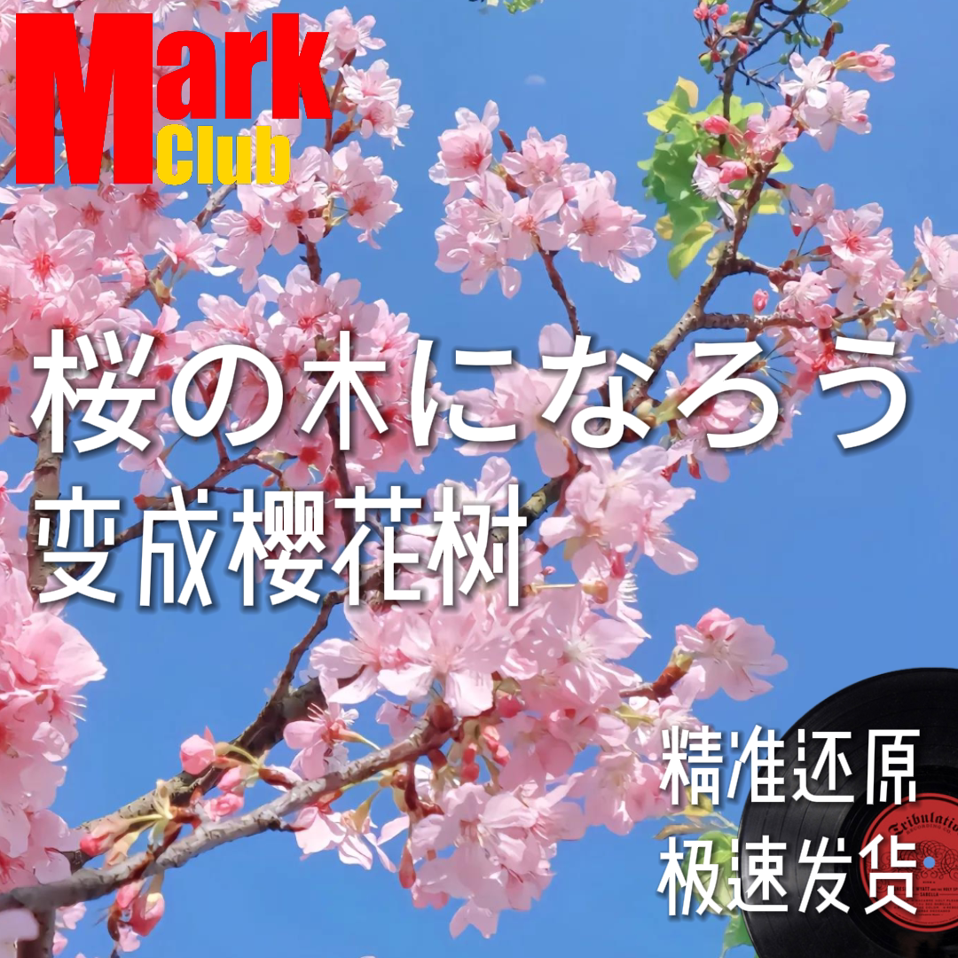 变成樱花树 扒谱 萨克斯谱 单簧管谱 长笛 小号 小提琴 伴奏