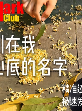 刻在我心底的名字 扒谱 萨克斯谱 单簧管 长笛 小号 小提琴 伴奏