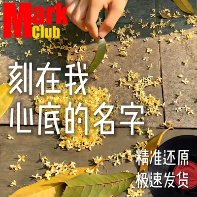 刻在我心底的名字 扒谱 萨克斯谱 单簧管 长笛 小号 小提琴 伴奏