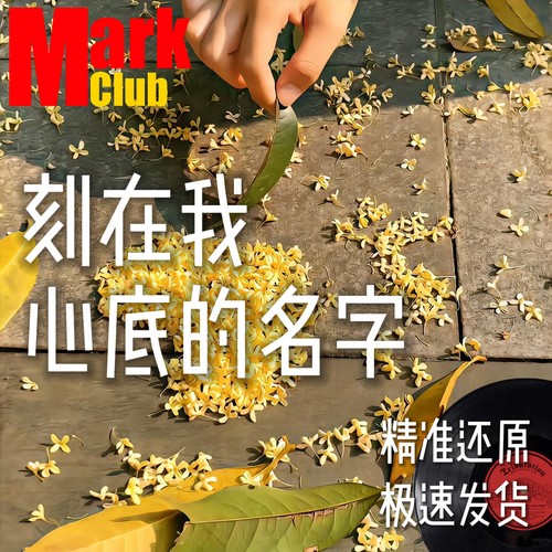刻在我心底的名字 扒谱 萨克斯谱 单簧管 长笛 小号 小提琴 伴奏