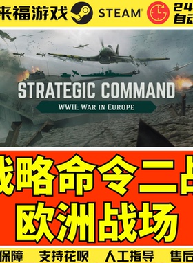 Steam正版 战略命令指挥二战欧洲战场 WWII War in Europe 激活码