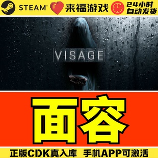Steam正版 面容 Visage 恐怖游戏 全球国区KEY 激活码 CDKey