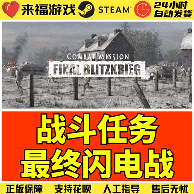 Steam正版 战斗任务最终闪击电战 Final Blitzkrieg 激活码 CDKEY