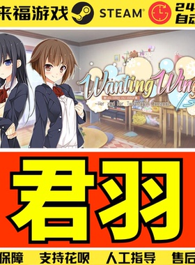 Steam正版 君羽 Wanting Wings 视觉小说 中文 全球国区KEY激活码