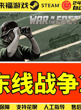 Steam正版 东线战争2 War in the East 2 WITE2 全球国区激活码
