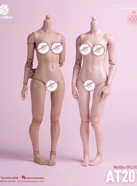 Worldbox 耐操 1/6 AT201 标准版女素体  可动兵人偶 现货