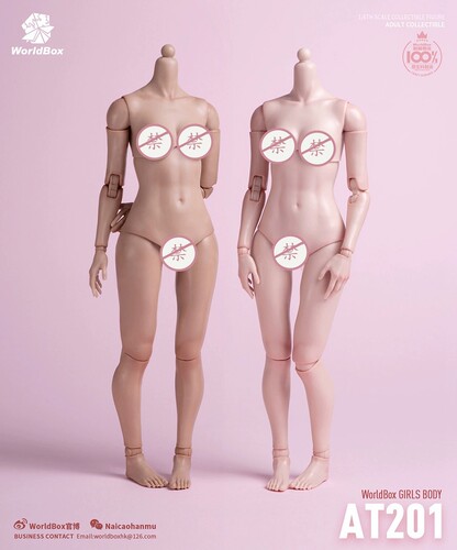 Worldbox 耐操 1/6 AT201 标准版女素体  可动兵人偶 现货