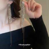 爆款 银色麦穗夸张长款 流苏耳钉轻奢高级感小众耳环2025新款 耳饰女