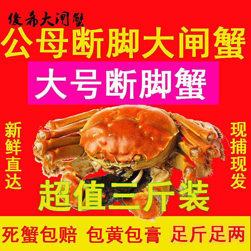 固城湖大闸蟹3斤10-12只残蟹特大断脚蟹残次蟹活蟹全母公螃蟹河蟹