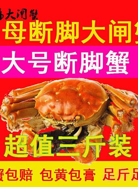 固城湖大闸蟹3斤10-12只残蟹特大断脚蟹残次蟹活蟹全母公螃蟹河蟹