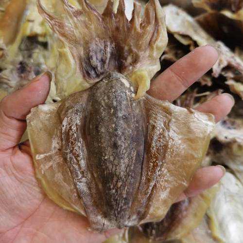 北海野生墨鱼干淡晒中大号干墨鱼乌贼干目鱼干海鲜干货