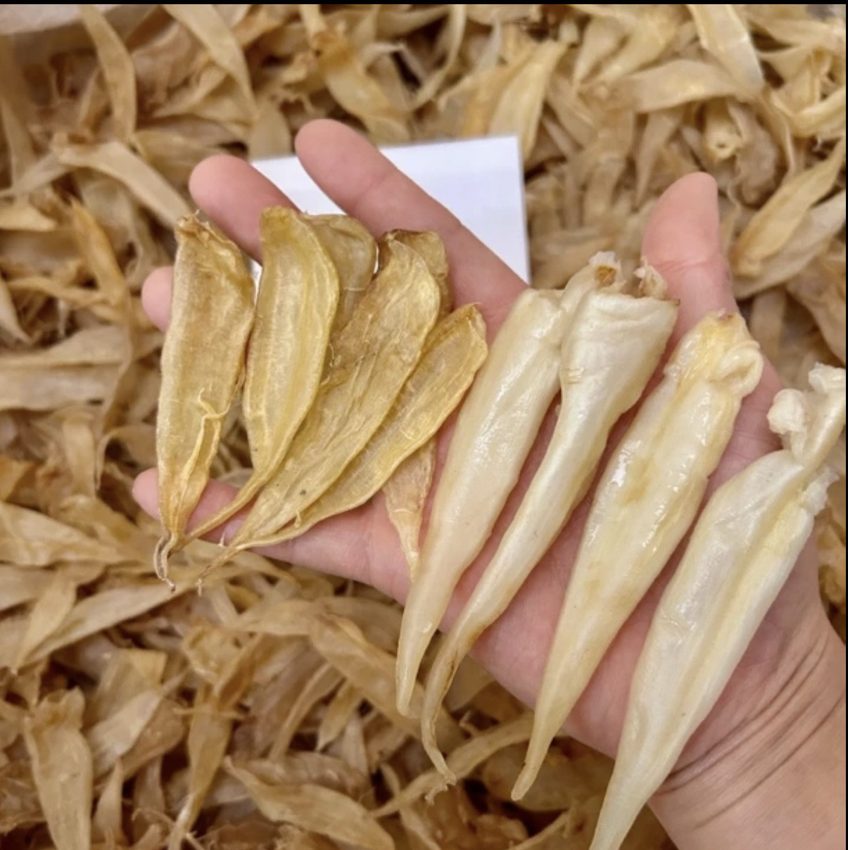 豆仁胶公胶花胶鱼胶干货孕妇术后鱼鳔鱼泡煲汤礼盒装
