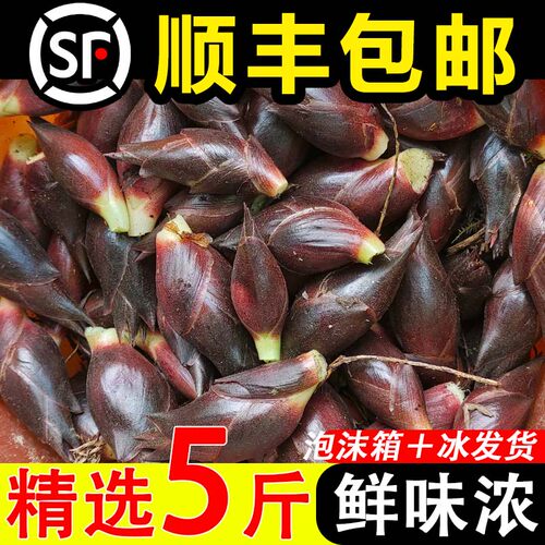 【顺丰包邮】阳荷新鲜洋荷姜现挖当季蔬菜野生洋火阳霍野阳胡嫩姜