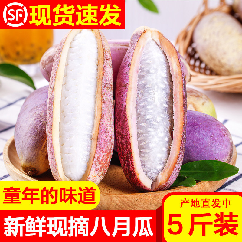 野生八月瓜新鲜水果八月炸当季预知子牛卵坨野香蕉网红甜瓜整箱装