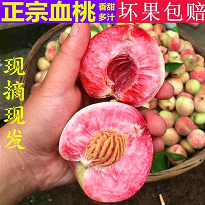 红心血桃当季脆桃5斤现摘