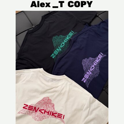 Alex 东丽塔夫功能性面料防晒透气棉感排汗运动圆领机能短袖T恤男