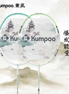 薰风羽毛球拍全碳素纤维超轻4U专业比赛训练进阶单拍熏风苏K苏D
