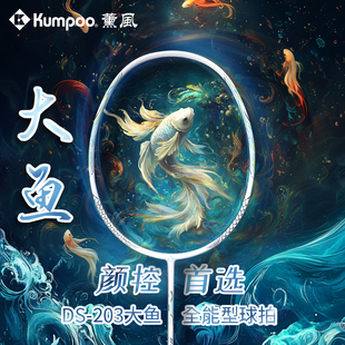 薰风官方正品羽毛球拍碳素纤维超轻专业羽球拍熏风大鱼ds-203单拍