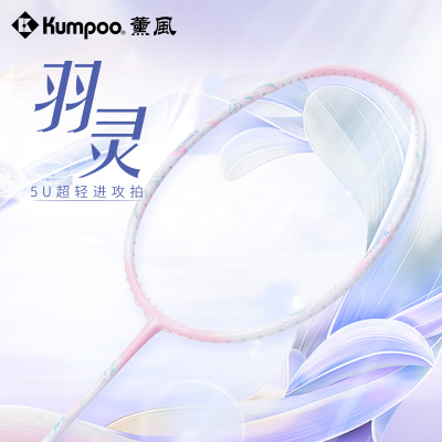 薰风全碳素通用羽毛球拍