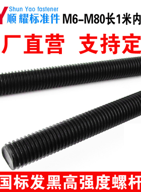 1M高强度细牙丝杆全丝螺柱牙条M16M18M24M33M39M45M4852M56M64M80