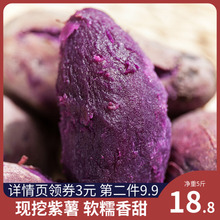 新鲜紫薯农家地瓜红皮薯粗粮紫心板栗紫番薯5斤