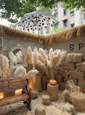 秋季美陈主题氛围场景布置芦苇干