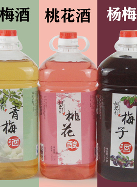 桑葚酒桃花酿5斤桶装青梅子酒自酿荔枝四川特产女士低度荔枝果酒