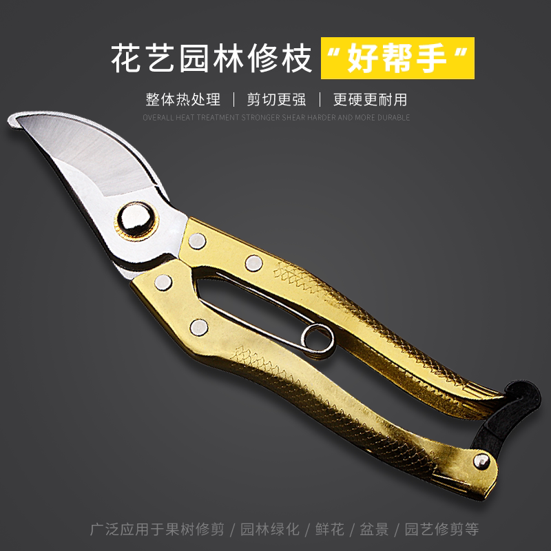 枝花剪省力树枝修花园艺剪刀图片