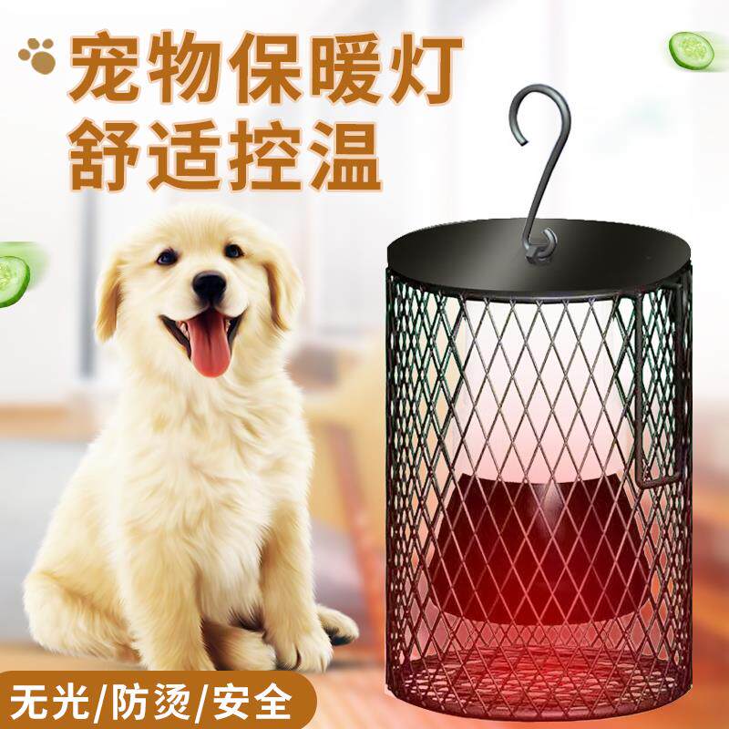 宠物加热灯狗狗窝猫咪冬天保温取暖器无光发热过冬神器恒温陶瓷灯