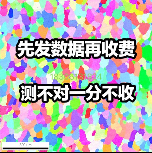 EBSD测试电子背散射衍射测试EBSD测试电子背散射衍射云视频测试
