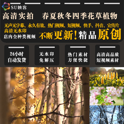 高清视频素材短视频剪辑快手抖音vlog宣传片春夏秋冬四季植被变化