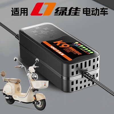 快充适配绿佳电动车电瓶充电器48V12AH60V20安72伏艾石墨烯新国标