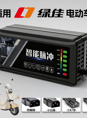 适用绿佳电动车充电器电瓶48V12AH60V72V20A新国标插头石墨烯通用