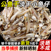 渔民自晒公干鱼无盐小鱼干野生小干鱼海鲜干货海燕鱼白凡鱼咸鱼干