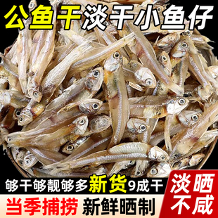 渔民自晒公干鱼无盐小鱼干野生小干鱼海鲜干货海燕鱼白凡鱼咸鱼干