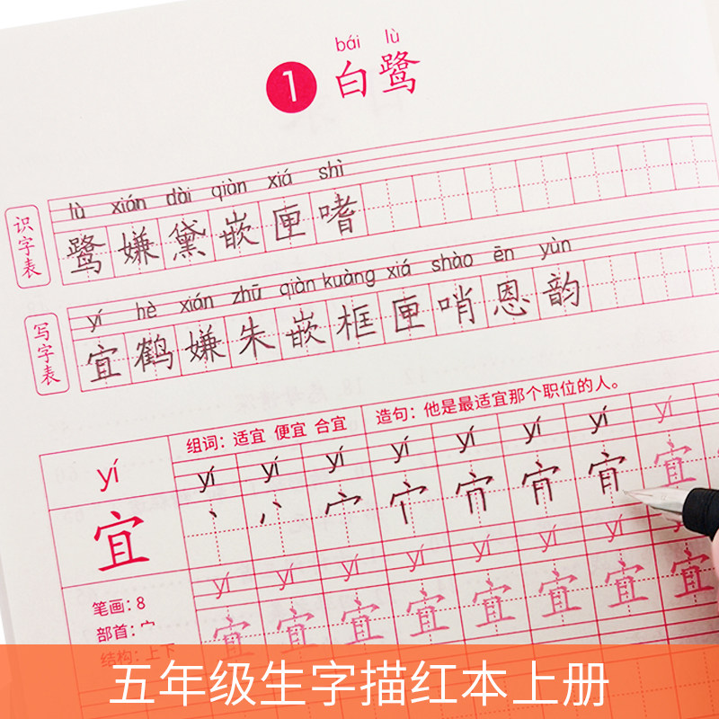 同步生字笔顺字帖正楷书人教版儿童速成练字神器一手好字钢笔练字帖